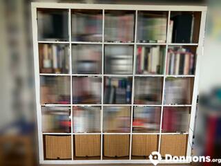 Bibliothèque Ikea modèle Kallax