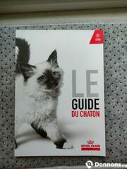 Guide chaton