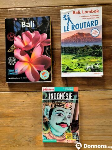 3 guides touristiques Bali Indonésie
