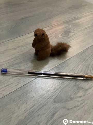 Mini marmotte