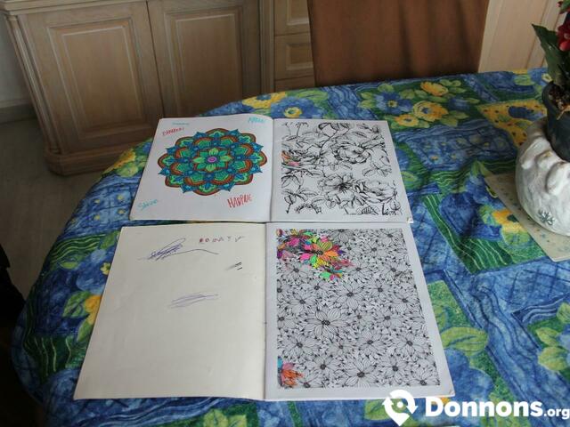 3 cahiers de dessin "Mandala"