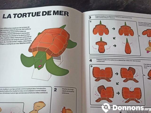 Maquette de tortue en papier (6/8 ans)