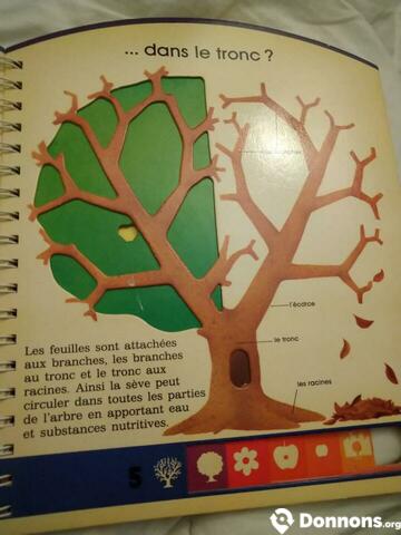 Livre cartonné comment vit un arbre