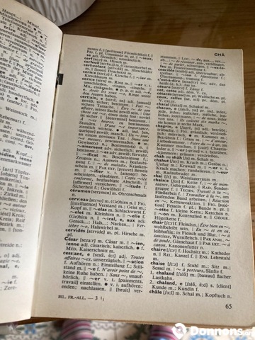 Dictionnaire Larousse