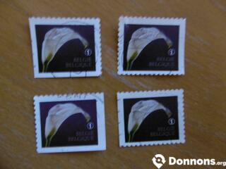 4 timbres ARUM blanc Belgique