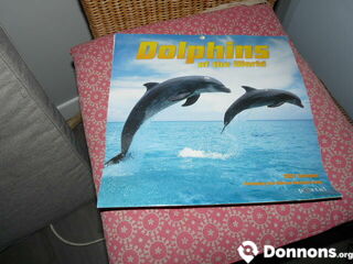 Calendrier photos dauphins (pas de 2024)
