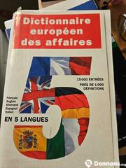 Dictionnaire européen des Affaires