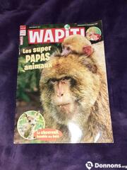 Magazine wapiti