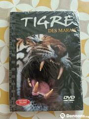 DVD tigre des marais