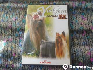 DVD sur le yorkshire Terrier