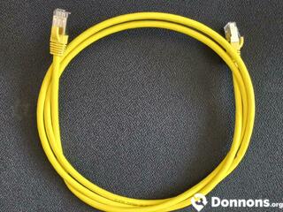 Câble Ethernet jaune 2 mètres