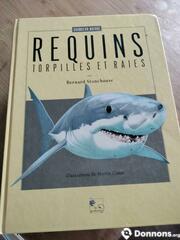 Requins torpilles et raies