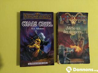 2 romans "Chaos cruel* & "Méfie-toi des dragons"