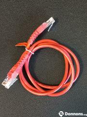 Câble Ethernet CROISE (crossover) 1 mètre