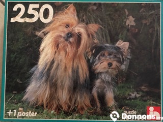 Puzzle chiens 250 pièces