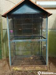 Cage Oiseaux