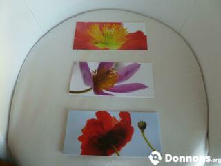 Cartes postal décors de fleurs