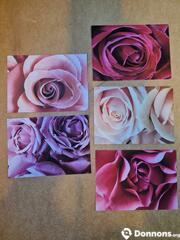 5 cartes roses