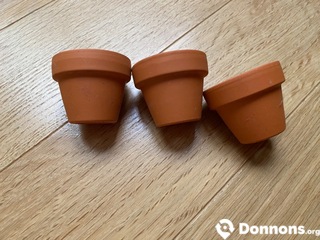 3 mini-pot de fleurs