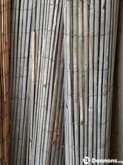 Brise-vue bambou lot 1