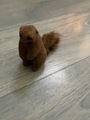 Mini marmotte