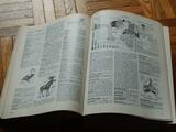 Dictionnaire Larousse de 1981