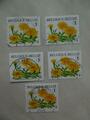 9 timbres fleurs Belgique